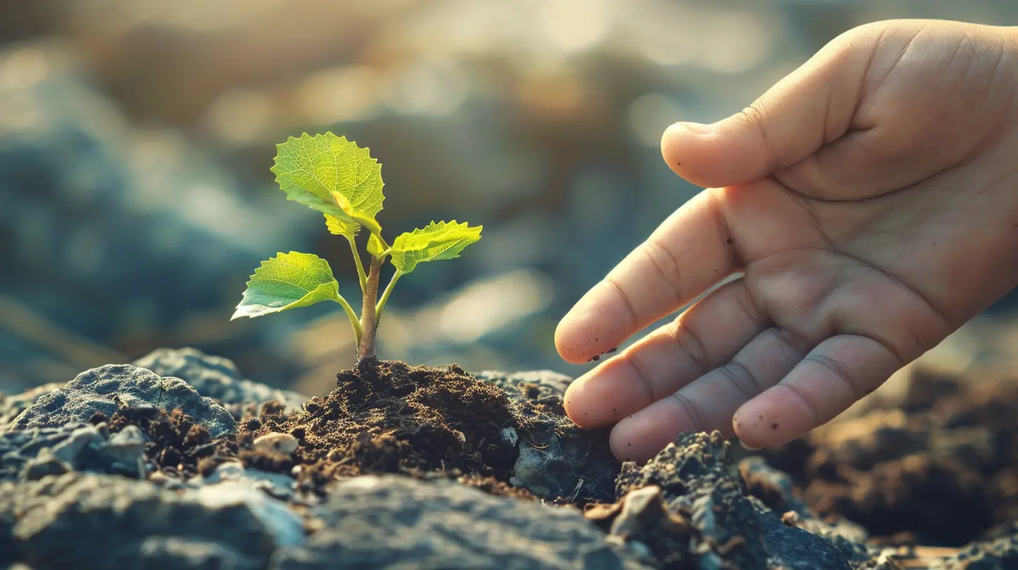 Helping Your Child Build Resilience in Their Education