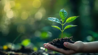 Encouraging Students to Be Stewards of the Environment