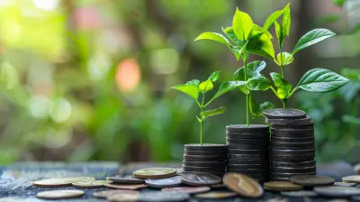 Exploring Popular Corporate Scholarship Programs