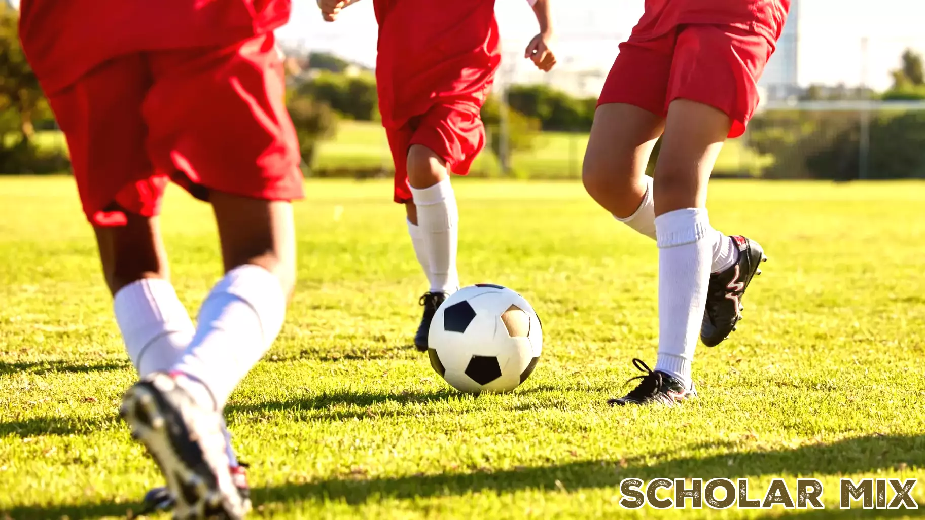 D.C. Parks and Recreation Introduces New Scholarship for College-Bound Participants