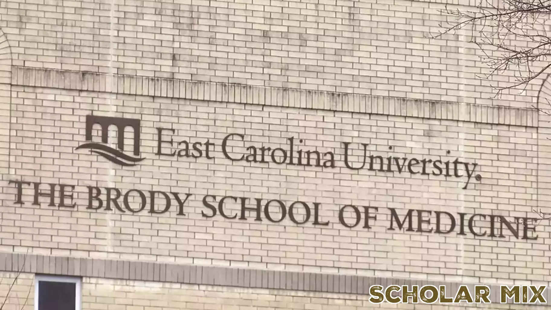 Education Department investigates ECU medical school admissions