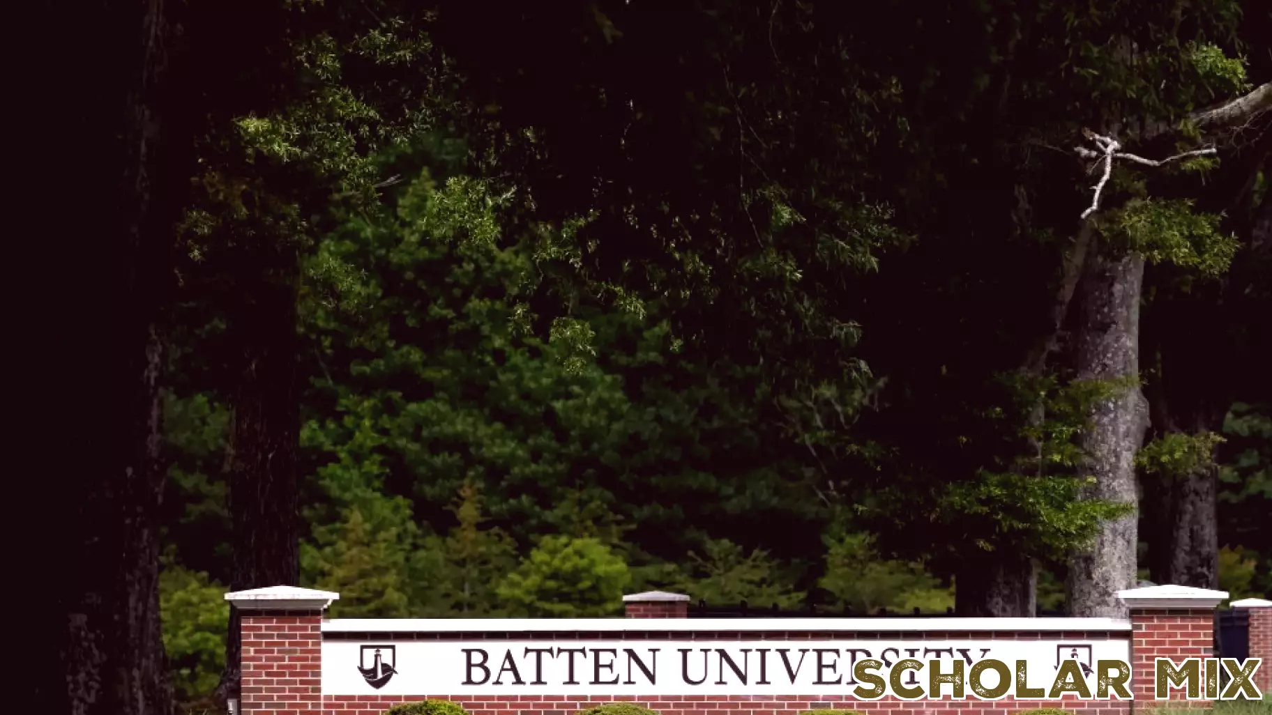 Letters for July 19: Battens’ gifts help education, all of Hampton Roads