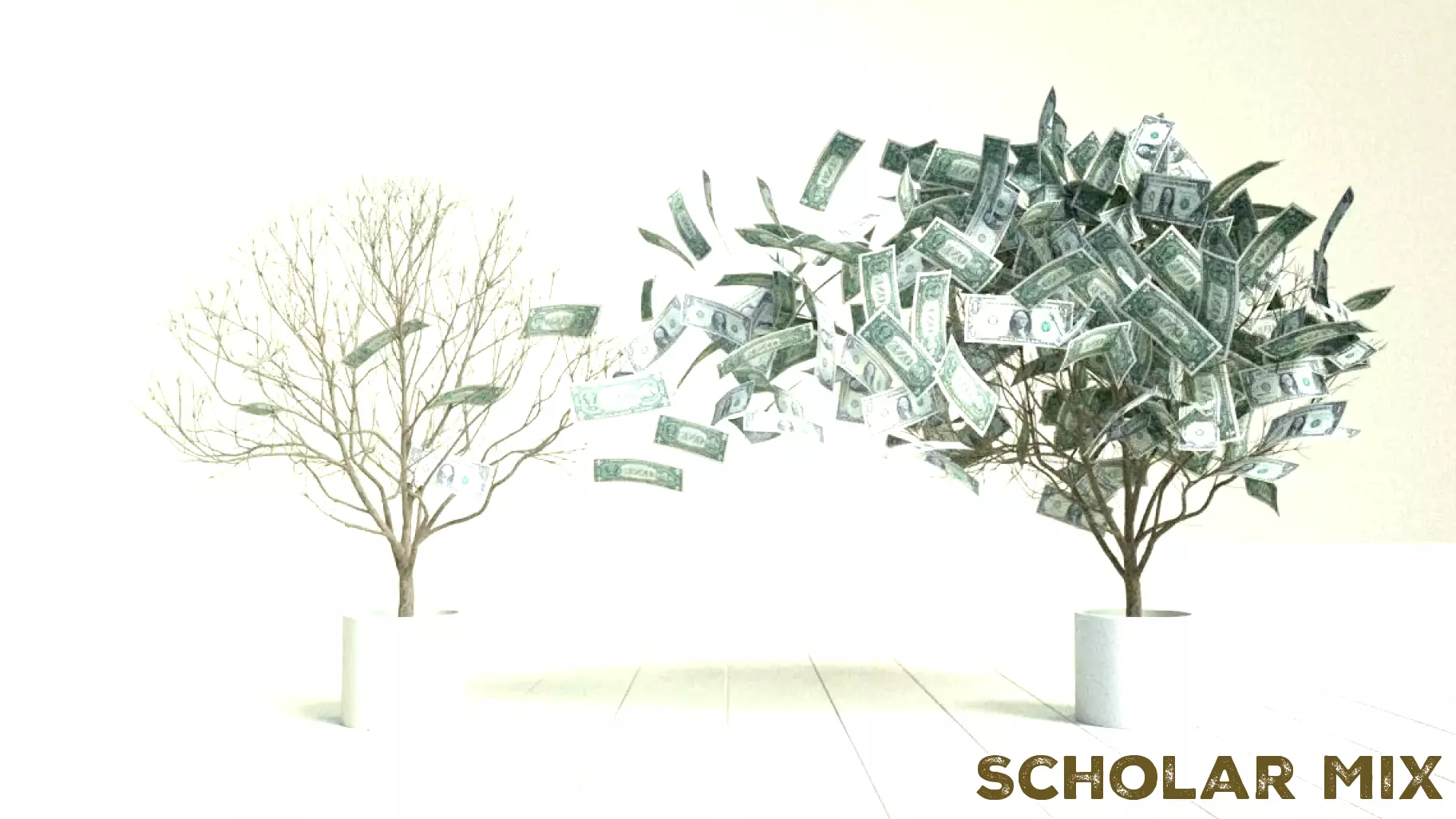 Misguided Advocates: The Impact of School Choice on Public Education