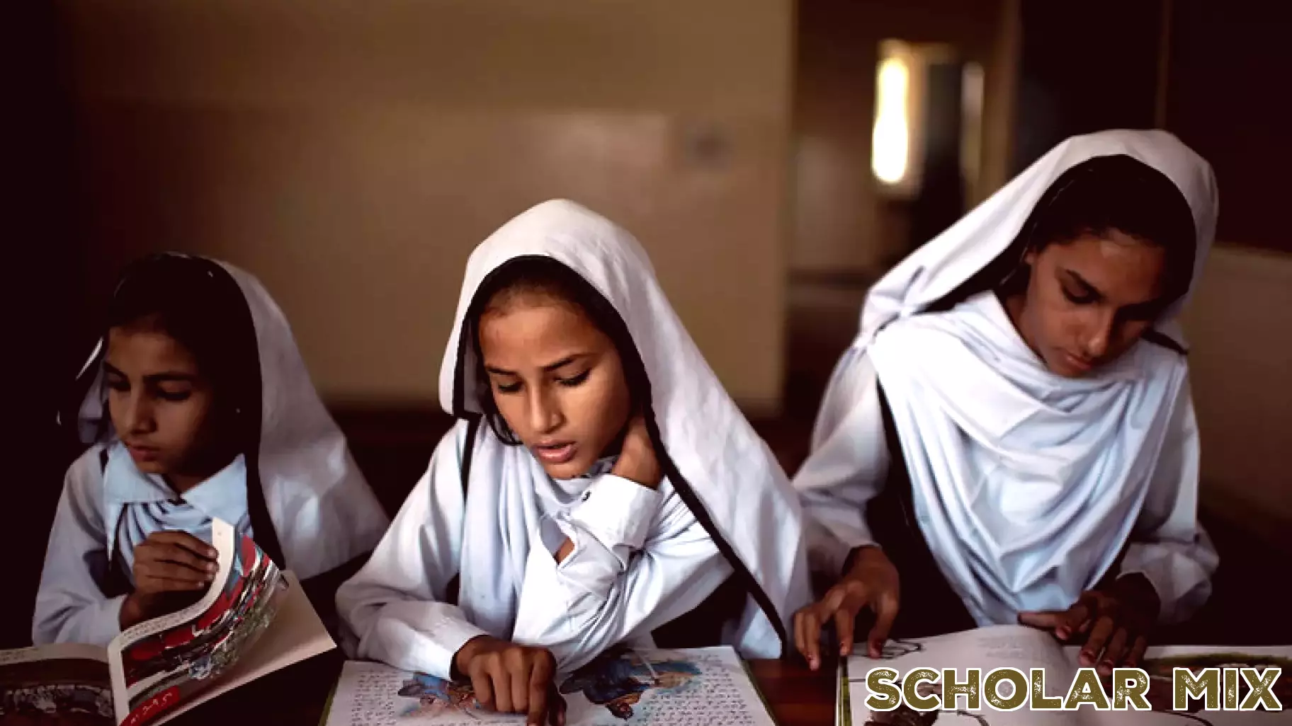 Navigating Educational Challenges in Rural Punjab: A Gender Perspective