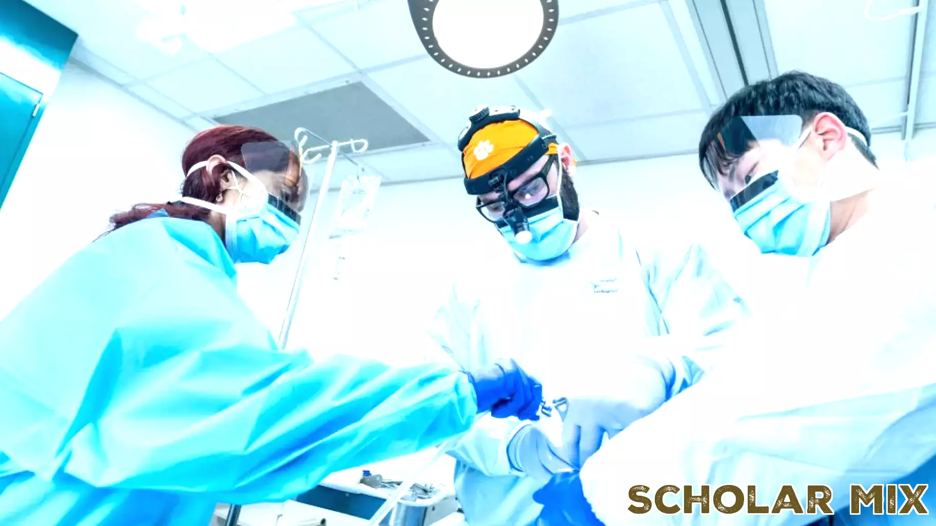 NYC Health + Hospitals’ Dental Residency Program Wins Highest Recognition in Dental Education