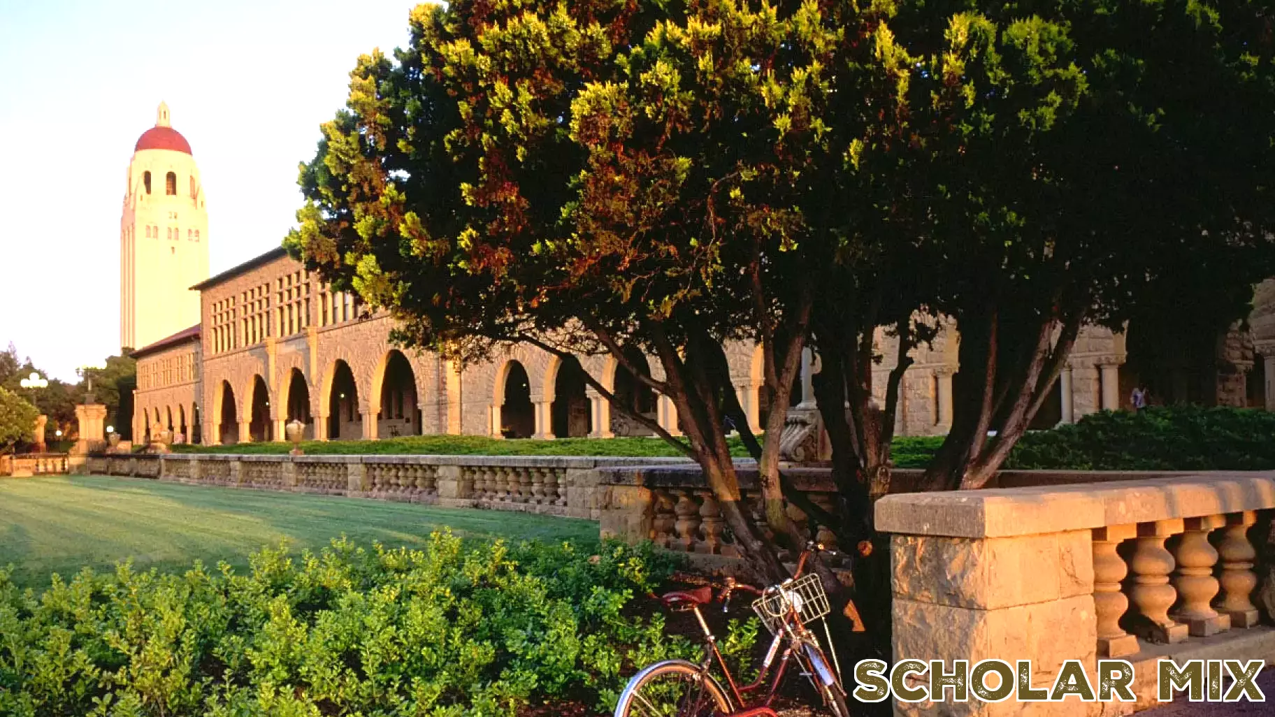 Stanford University Faces Criticism for Ideological Focus in Writing Courses