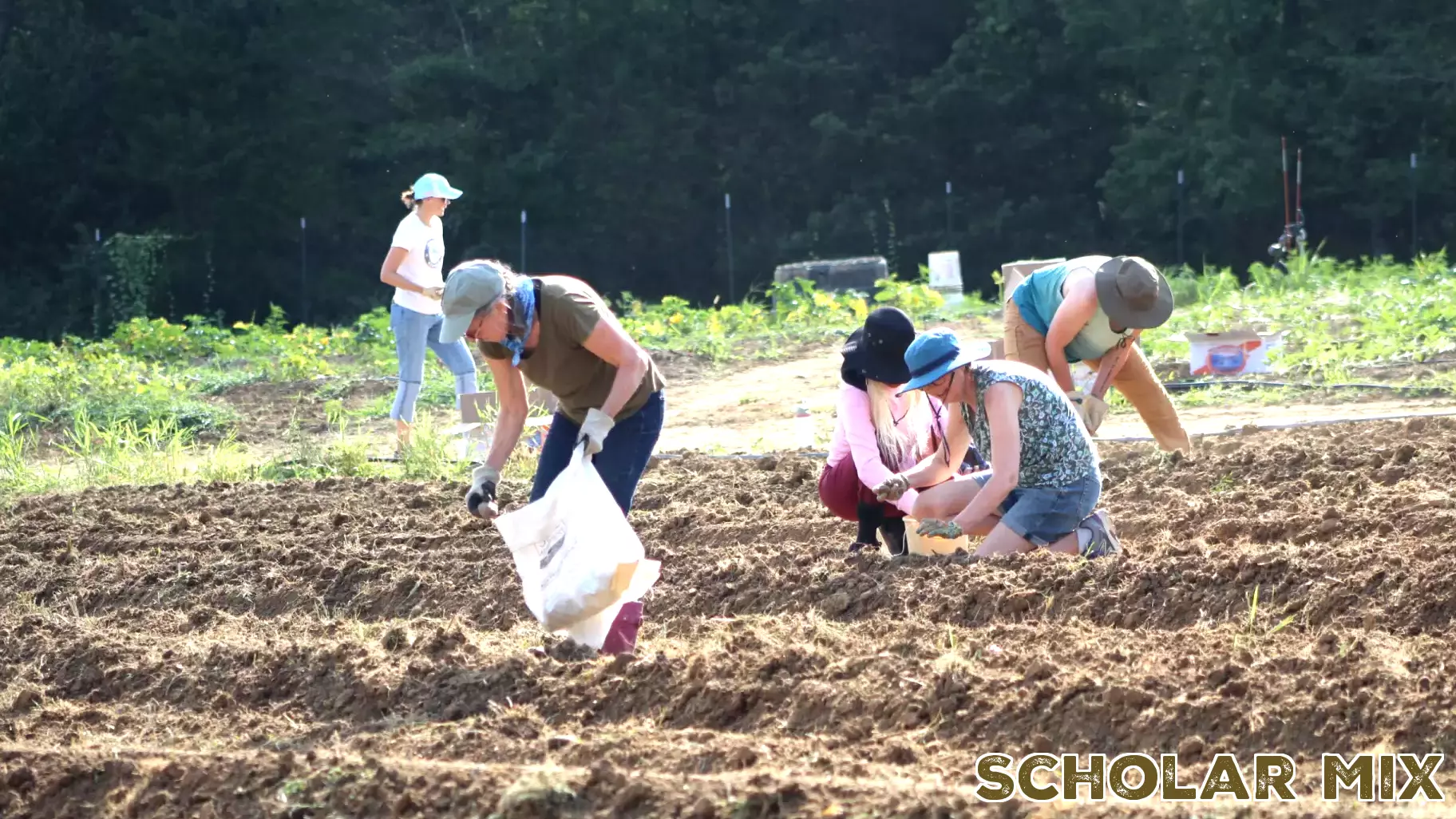 Volunteers Come Together to Plant Potatoes at Rappahannock Education Farm