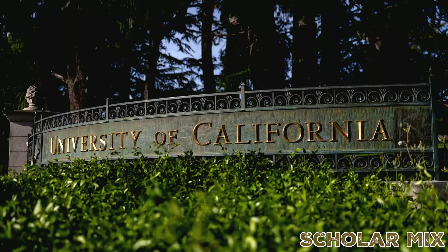 Why Universities Risk Losing Federal Funding Over DEI Policies
