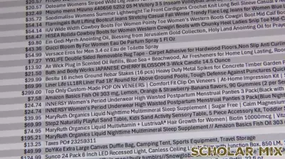 ESA audit flags millions of dollars in purchases with education funds