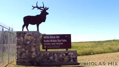 Local Educator Honored with National Award for Nature Integration in Education