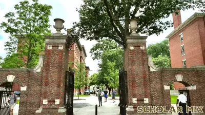 Shifts in College Admissions Data After Supreme Court Ruling