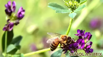 Updates on K-12 Education, Honeybee Conservation, and a New Wisconsin Thriller